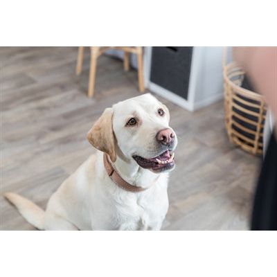 Afbeelding laden in galerijviewer, Trixie Halsband hond boho extra breed met ruit karamel
