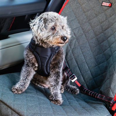 Afbeelding laden in galerijviewer, Kong Autogordel hond deluxe swivel
