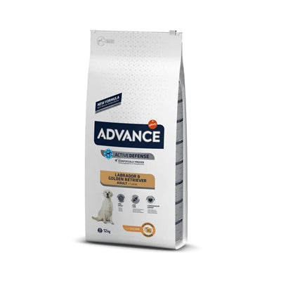 Afbeelding laden in galerijviewer, Advance Adult labrador retriever
