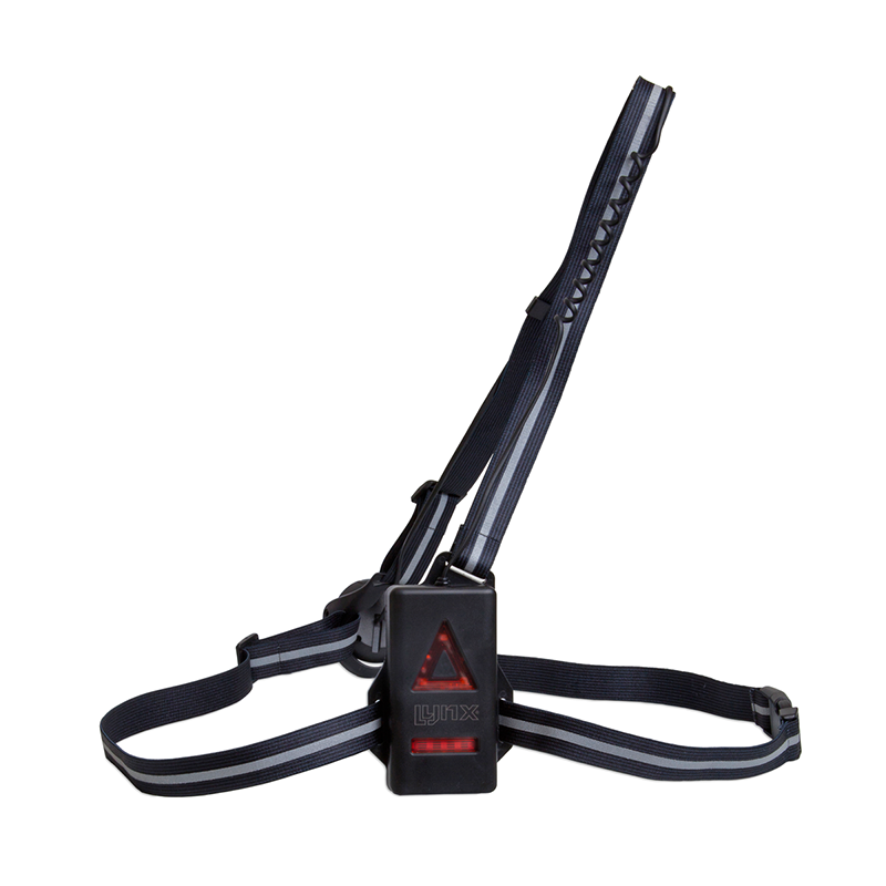 Afbeelding laden in galerijviewer, Lynx Hardloop licht USB Bolt
