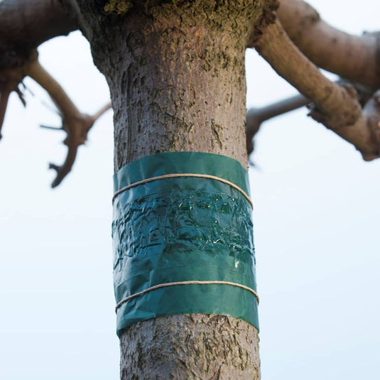 Nature Nature Insecten kleefband 150 cm 6060134