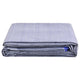 VidaXL Tenttapijt 400x250 cm blauw