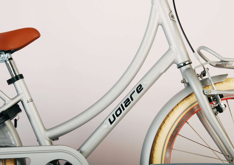 Afbeelding laden in galerijviewer, Volare Oma Kinderfiets Meisjes 20 inch Mat Zilver
