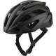 Alpina sports race helm valparola 55-59 mat zwart