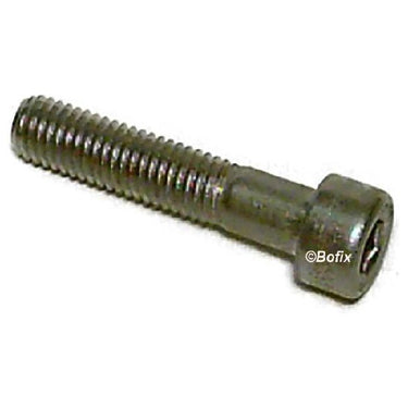 Xtrabike bout inbus m8x40 staal