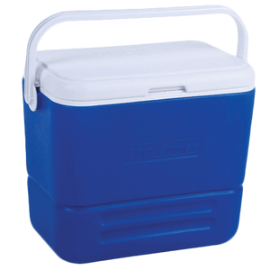 Merkloos Overige merken Cooler koelbox 34L