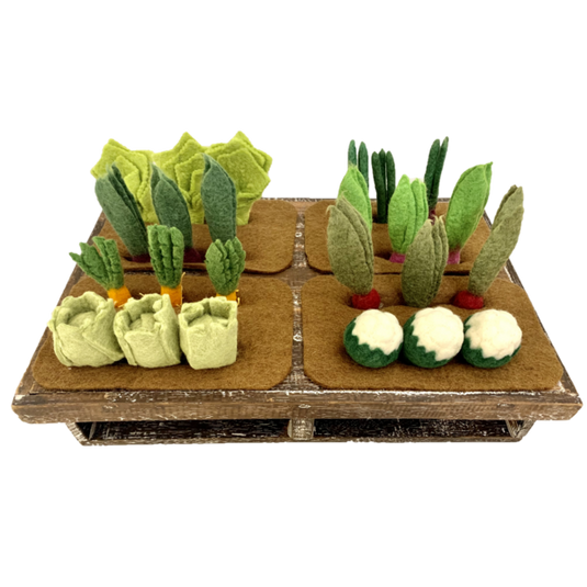 Papoose Toys Papoose Toys Grow-a-Garden 24pc