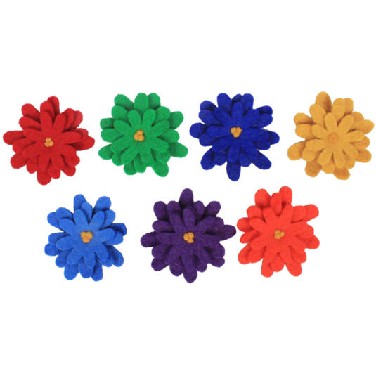 Papoose Toys Papoose Toys Rainbow Asters 7pc
