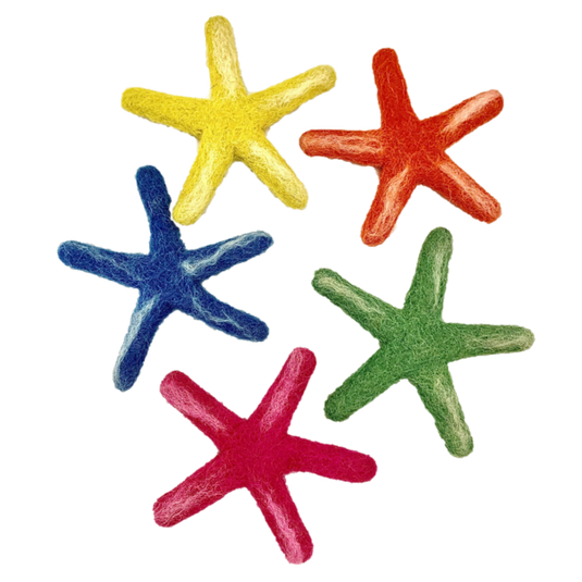 Papoose Toys Papoose Toys Sea Star Laevigata 5pc