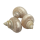 Papoose Toys Papoose Toys Telempu Shell 5pc