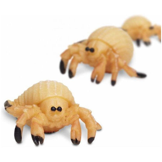 Safari Heremietkreeften speelset 2,5 cm 192-delig